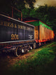 New Orleans "Circus Train" Stretched Canvas Giclee, 24"x32"