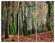 "Autumn Forest in the Netherlands" Photo Metal Wall Art, 3 Panels, 36"x28"