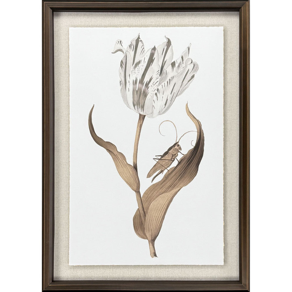 Gilded Tulip, Elegance Framed Art