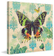 "Madagascar Sunset Butterfly 2" Painting Print on Canvas by Evelia