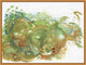 Seaweed & Celery, Giclee Reproduction Artwork