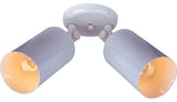Maxim 92011 Spots 5"W 2 Light Adjustable Wall or Ceiling Light - White