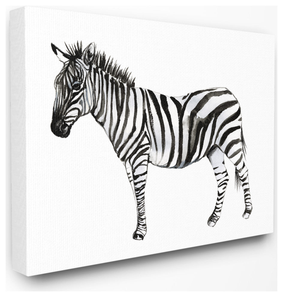 Zebra Standing Black and White Watercolor Animal Painting, 30"x40", Canvas Art