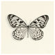 "Butterfly V - BW" Digital Paper Print by Debra Van Swearingen, 20"x20"