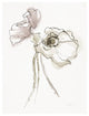 "Three Somniferums Poppies Neutral II" Paper Print by Shirley Novak, 38"x50"