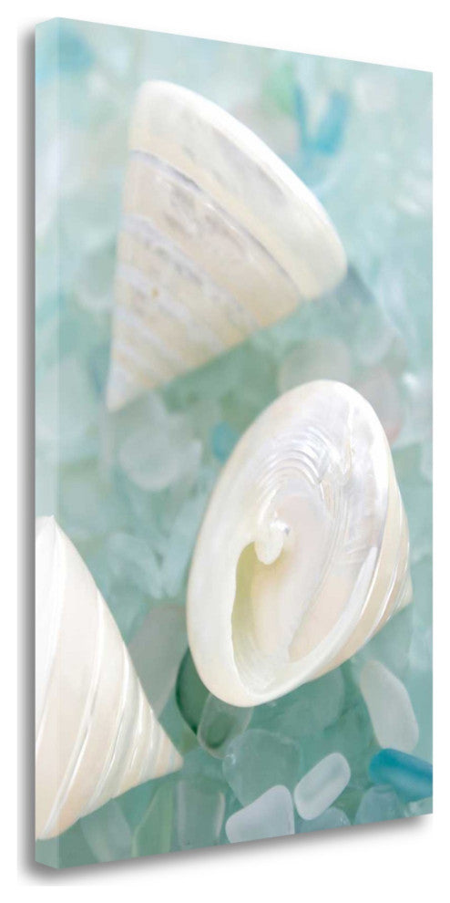4" White Snail Shell and Blue Seaglass Giclee Wrap Canvas Wall Art