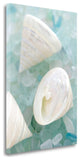 4" White Snail Shell and Blue Seaglass Giclee Wrap Canvas Wall Art