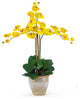 Triple Stem Phalaenopsis Silk Orchid Arrangement, Gold