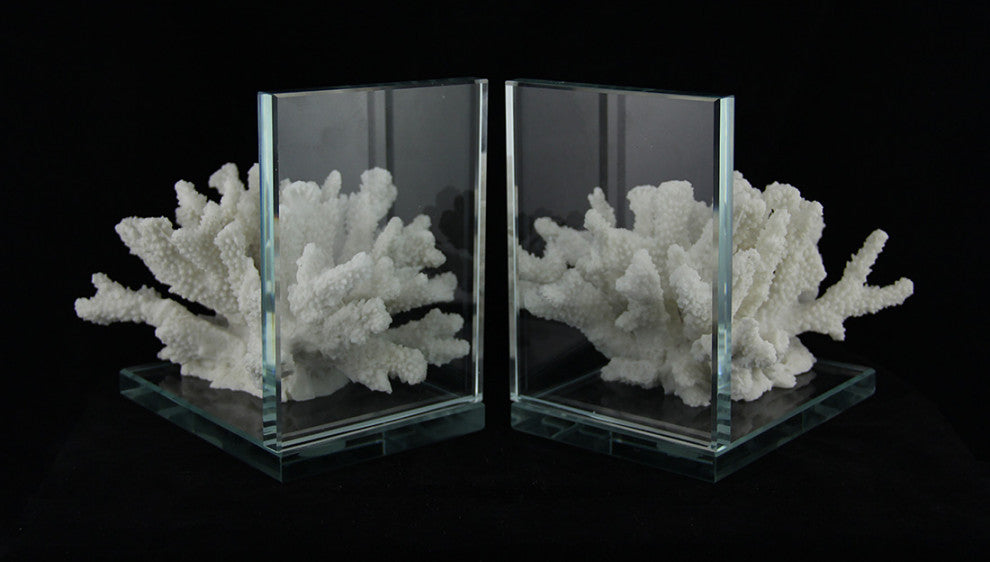 2-Piece White Coral On Glass Coastal Bookend Set