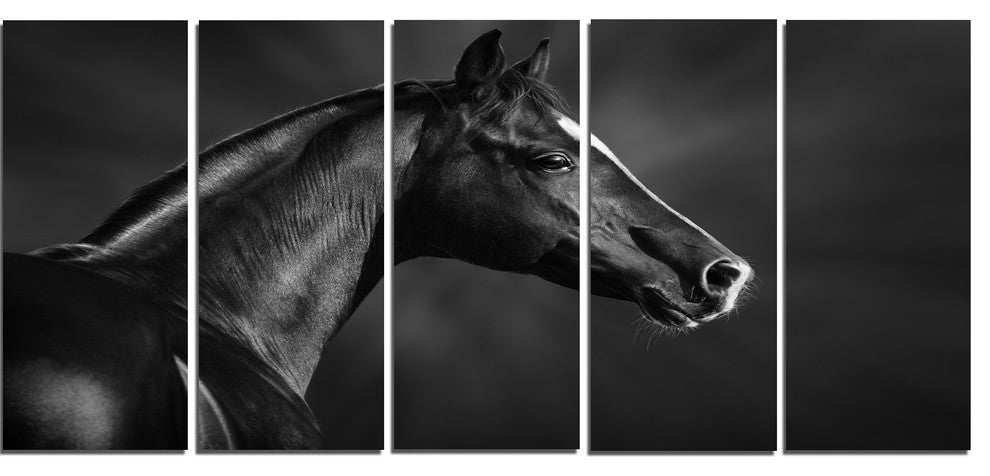 Black Arabian Horse Portrait, Animal Canvas Art Print, 60"x28", 5 Panels
