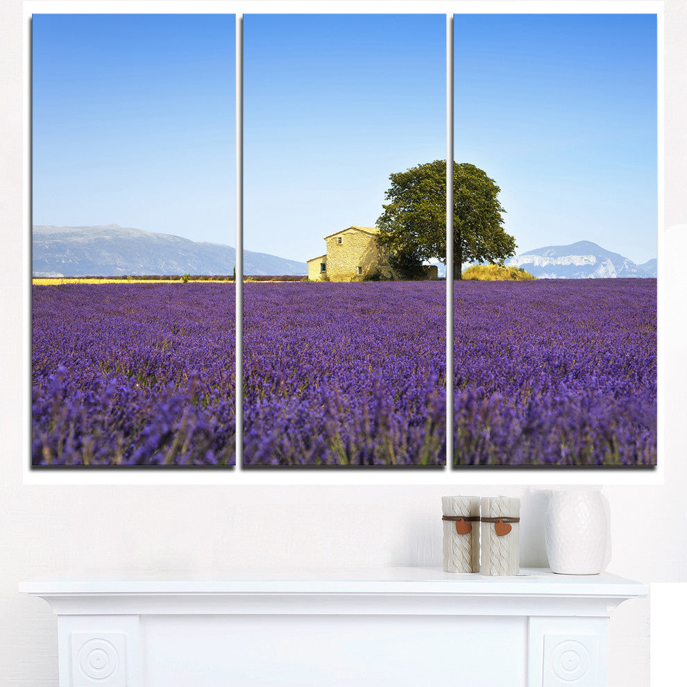 "Lavender Flowers Blooming Field" Metal Wall Art, 3 Panels, 36"x28"