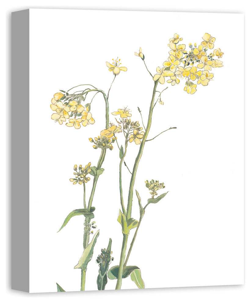 Yellow and Green Floral Botanicals 16x20 Canvas Wall Art