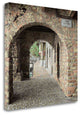 "Lakeside Portal" By Alan Blaustein, Giclee Print on Gallery Wrap Canvas