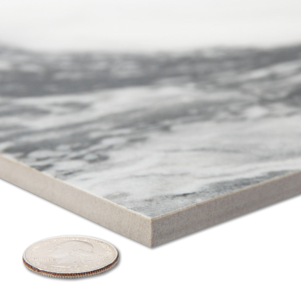 Touche Zebre Porcelain Floor/Wall Tile