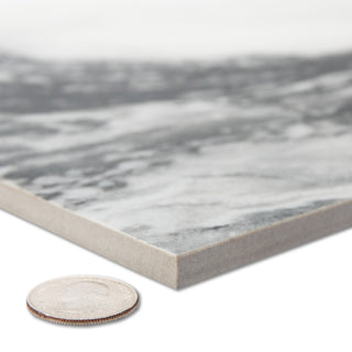 Touche Zebre Porcelain Floor/Wall Tile