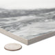 Touche Zebre Porcelain Floor/Wall Tile