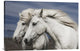 "Blowing" Stretched Canvas Giclee by Bragi Ingibergsson, 30"x20"