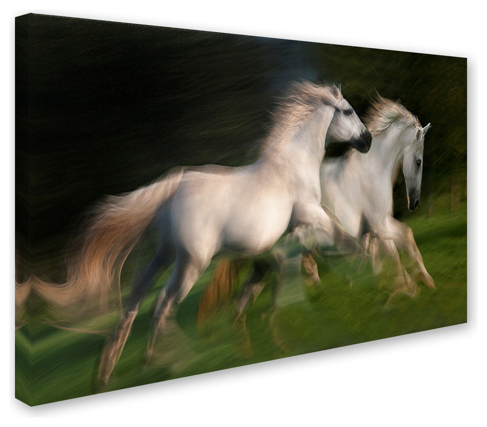 Milan Malovrh 'Gallop For Two' Canvas Art, 16x24