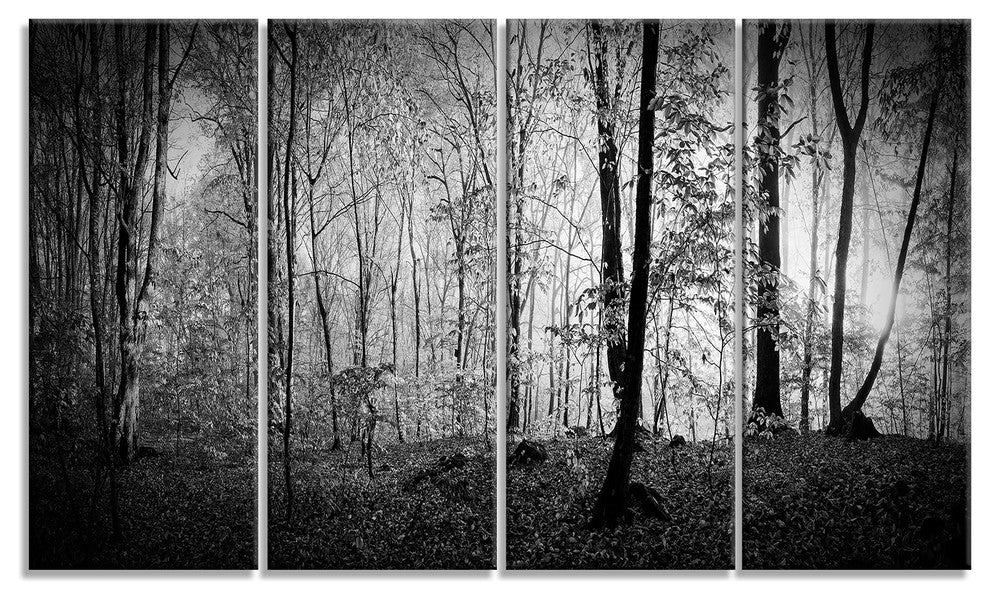 Beautiful Forest Morning Panorama, Landscape Canvas Art Print, 48"x28", 4 Panels