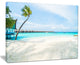 "Tropical Maldives Island" Canvas Print
