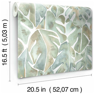 Cat Coquillette Philodendron Peel & Stick Wallpaper
