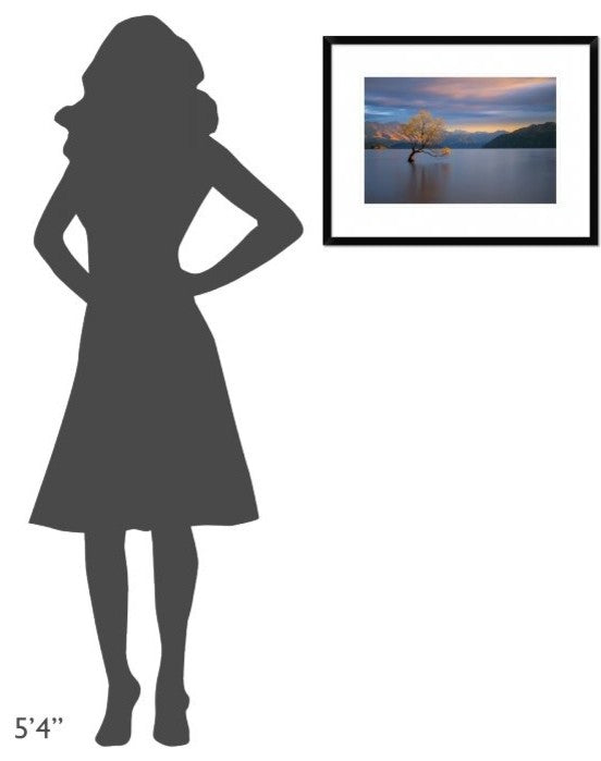 "Morning Glow" Framed Digital Print by Renee Doyle, 26"x20"