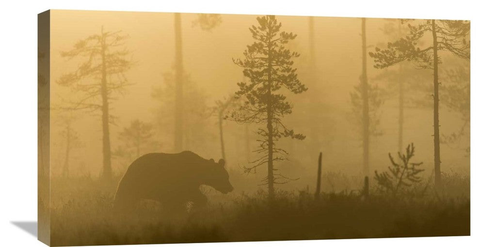 "Morning Fog" Stretched Canvas Giclee by Svein Ove Linde, 30x17"