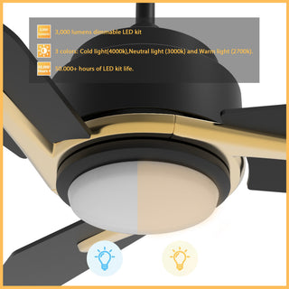 CARRO 52'' Smart DC Ceiling Fan with Remote Dimmable LED Light, Black/Gold