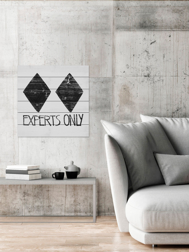 "Experts Only" Painting Print on White Wood, 24"x24"