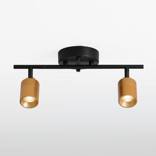 VidaLite Shura 2 Head LED Track Light, Brass And Black
