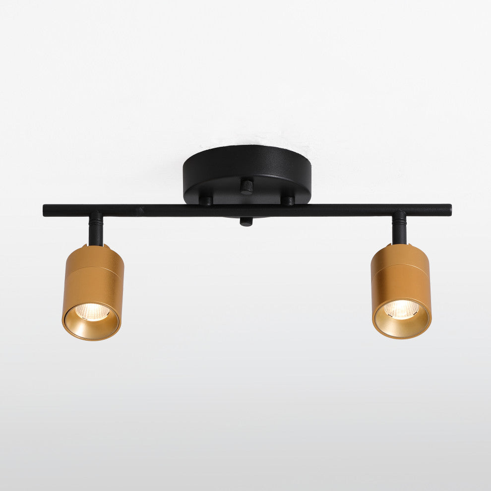 VidaLite Shura 2 Head LED Track Light, Brass And Black