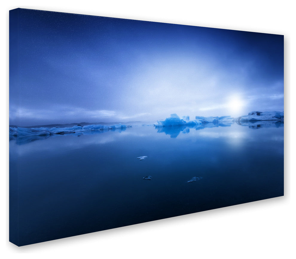 Philippe Sainte-Laudy ''Deep Blue'' Canvas Art
