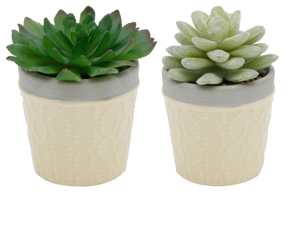 Set Of 2 Succ  Dress Icecram  Yellow Pot