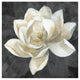 "Majestic Magnolia Neutral Sq" Digital Paper Print by Albena Hristova, 42"x42"