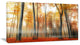 "Red and Yellow Leaves in Fall" Landscape Photo Wall Art, 32"x16"