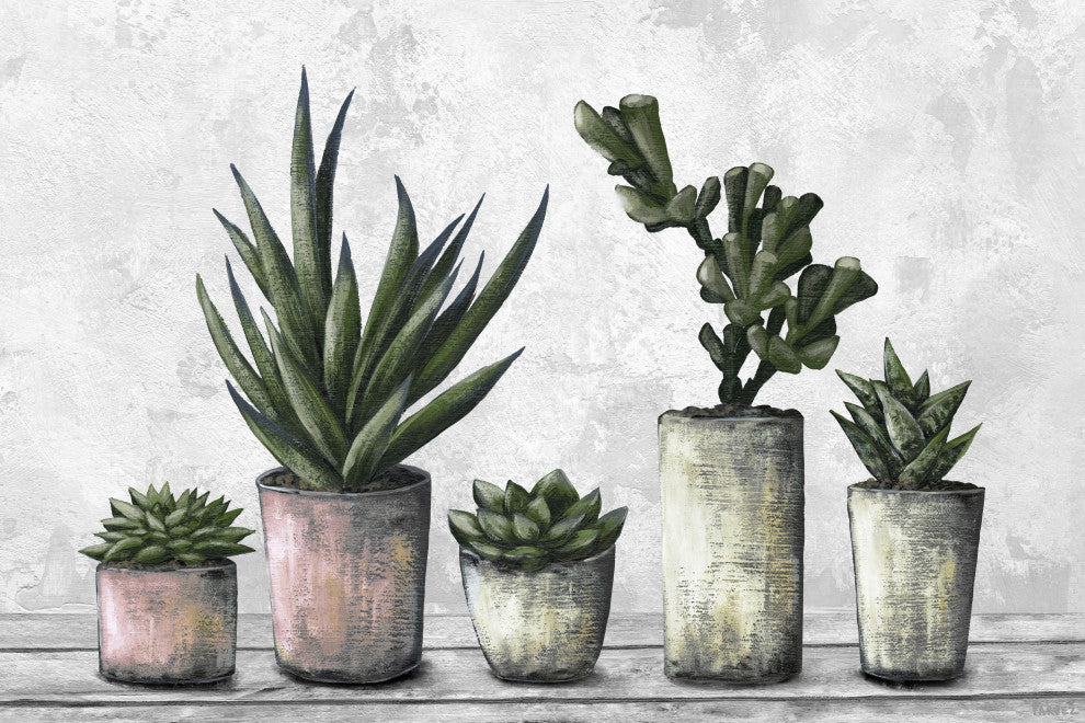 "Earthy Succulent Pots" Painting Print on Wrapped Canvas