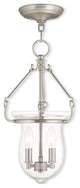 Livex 50294-91 2-Light Brushed Nickel Pendant, Brushed Nickel