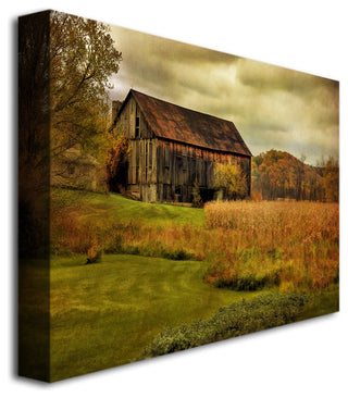 'Old Barn on Rainy Day' Canvas Art by Lois Bryan