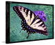 "Tiger Swallowtail" Painting Print on Canvas by Robertson