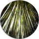 Long Bamboos In Bamboo Forest, Forest Large Disc Metal Wall Art, 23"
