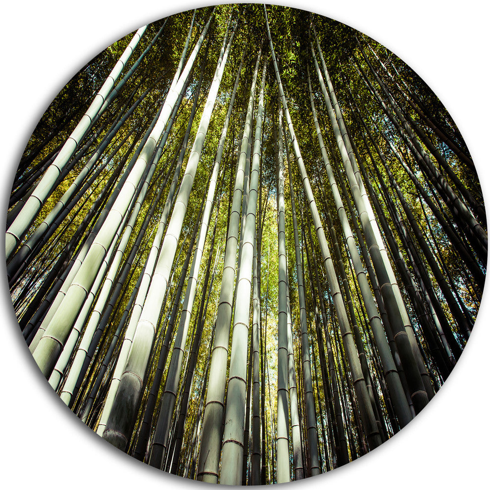Long Bamboos In Bamboo Forest, Forest Large Disc Metal Wall Art, 23"