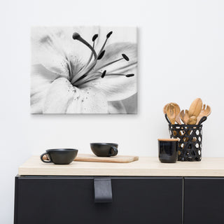 Grey Floral Canvas: High-key Lily Floral Nature Photo Wall Art Print, 16" X 20"