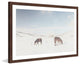 Marmont Hill, "Two Horses" Framed Painting Print, 18x12