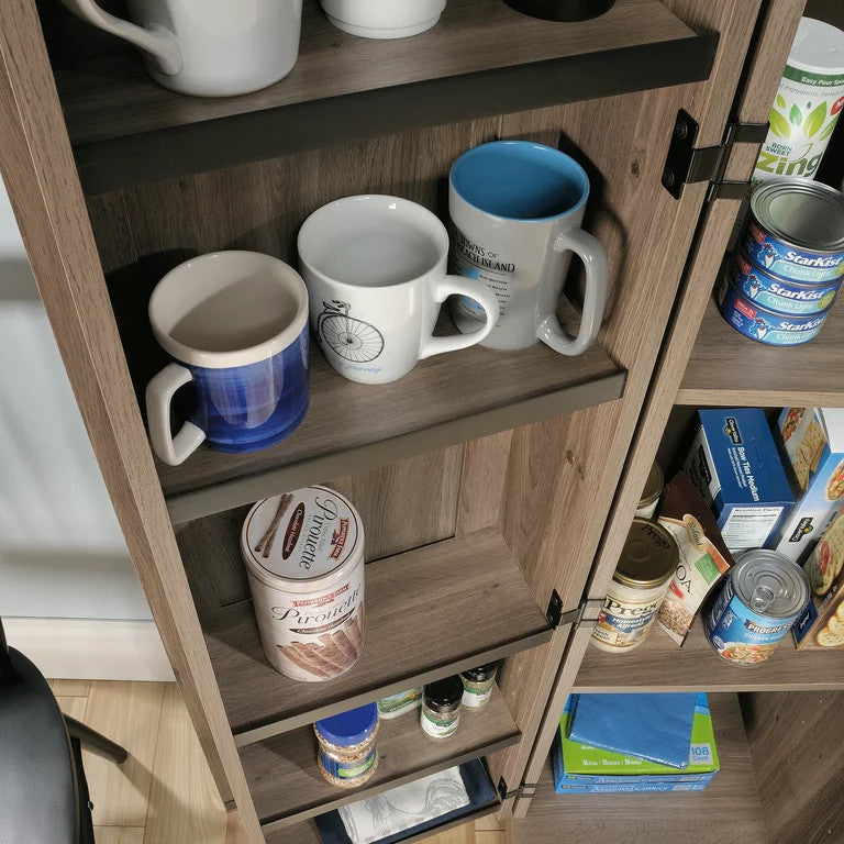 Transitional Storage Cabinet, Frame Paneled Doors With Metal Handles, Salt Oak
