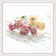 Marmont Hill, "Faded Roses" by Sylvia Cook Framed Painting Print, 32x32