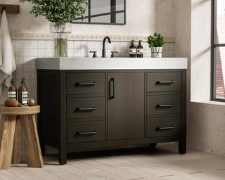 Home Living 48" Single Bathroom Vanity, Mocha Brown