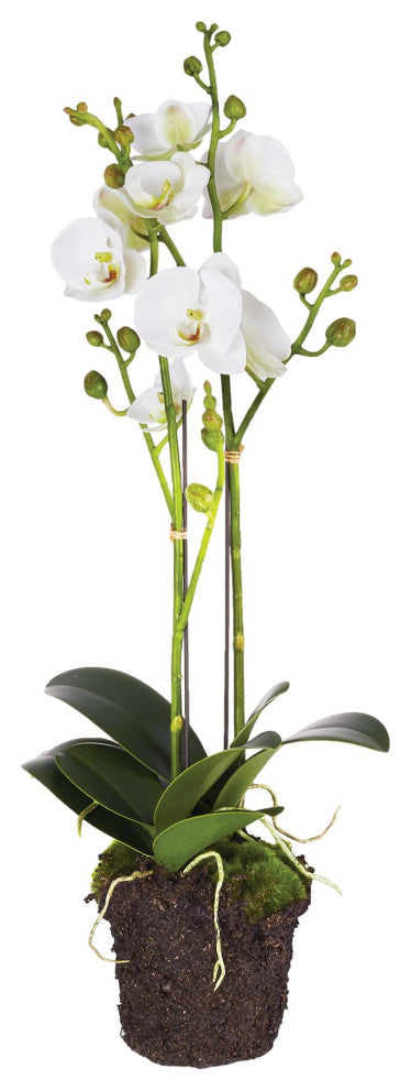 Two Stem White Phalaenopsis Orchid Faux Flower Artificial Plant Drop In