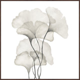 "Ginkgo Biloba Leaves" Floater Framed Painting Print, Canvas, 24"x24"