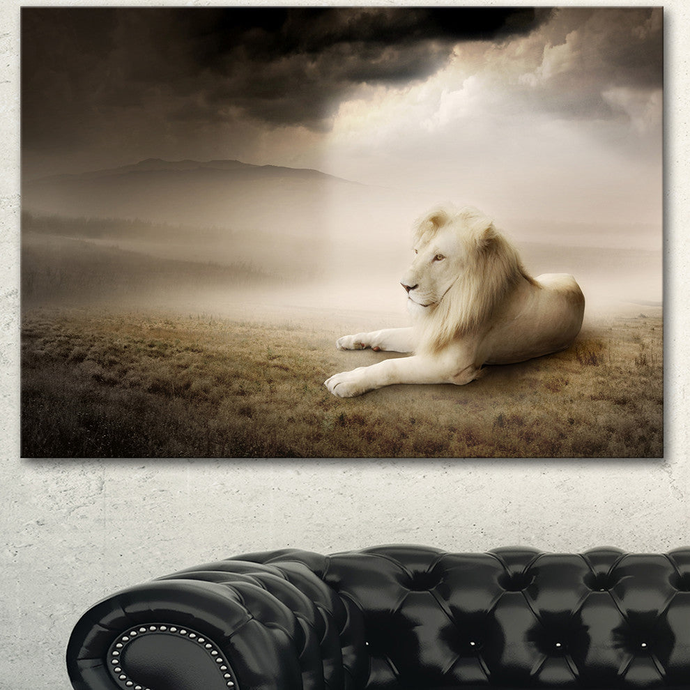 King of Animals At Sunset, Animal Canvas Wall Art, 40"x30"
