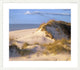 "Coastal sand dunes, Saint Joseph Peninsula, Florida"  by Tim Fitzharris, 39x33"